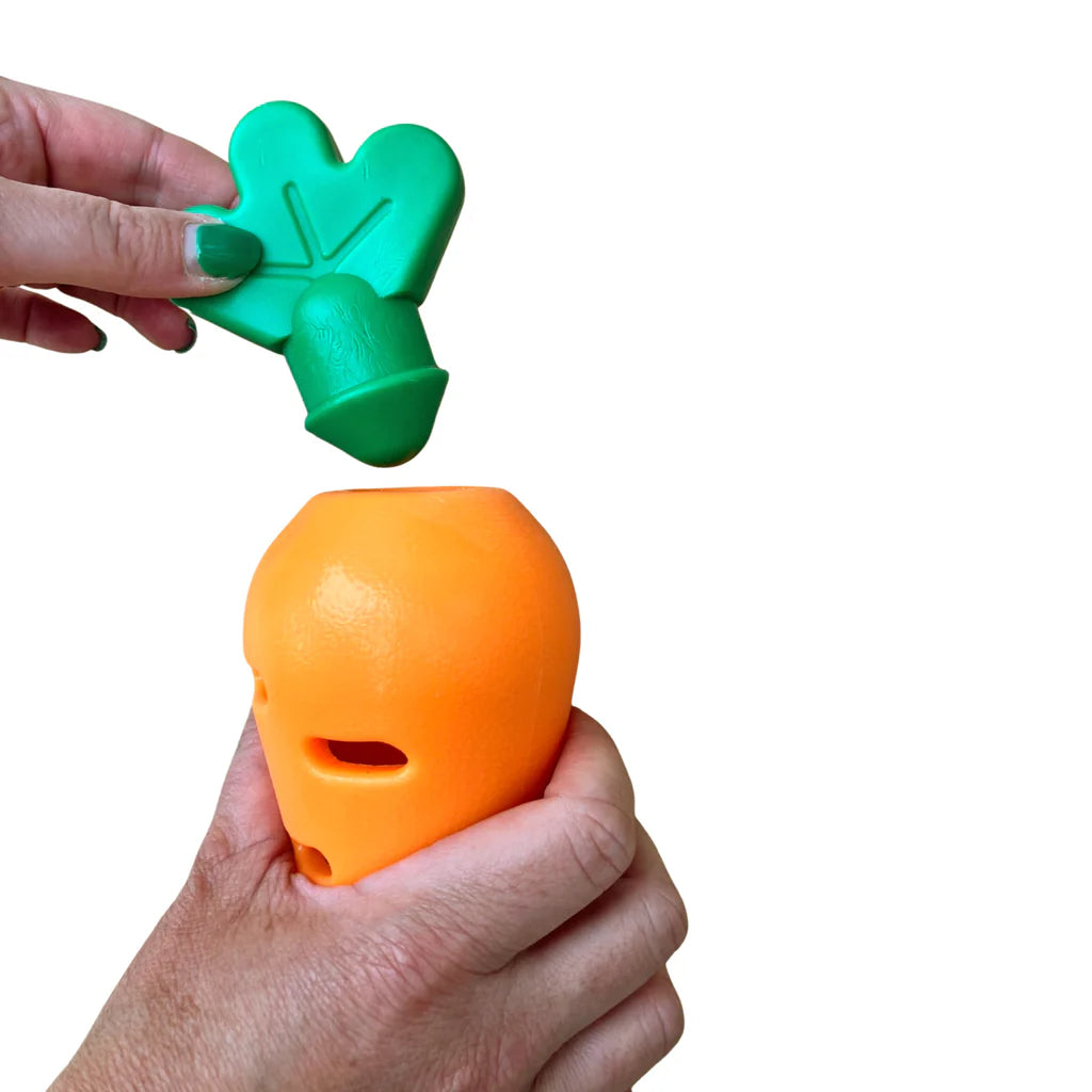 Carrot Treat Dispenser