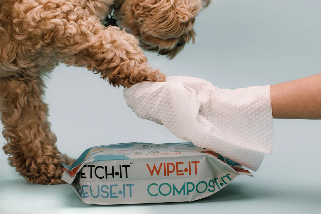 Fetchit Compostable Reusable Wipes (20)