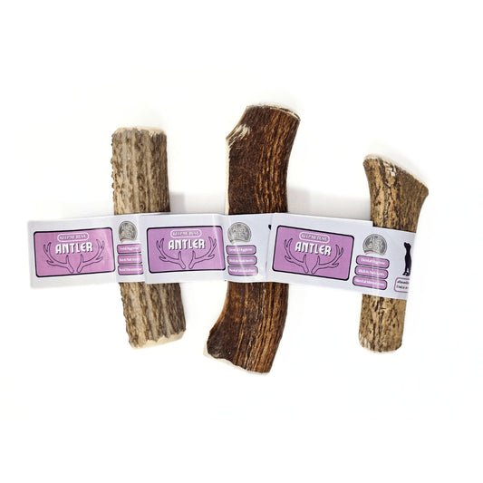 Deer Antler