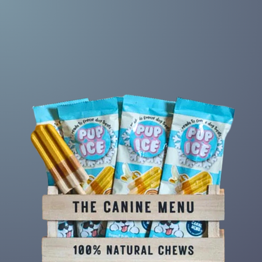 Pup Ice by The Canine Menu